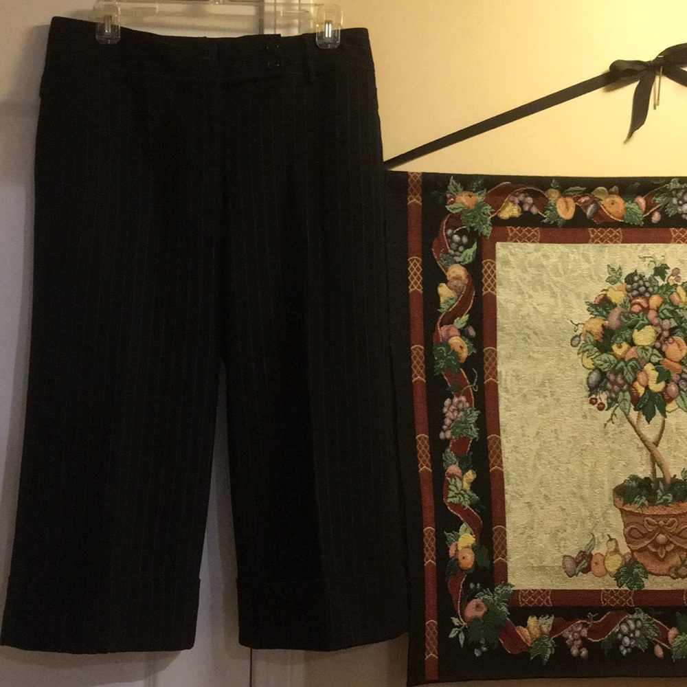 Ann Taylor Lindsay lined culottes.  Size 6. NWT.